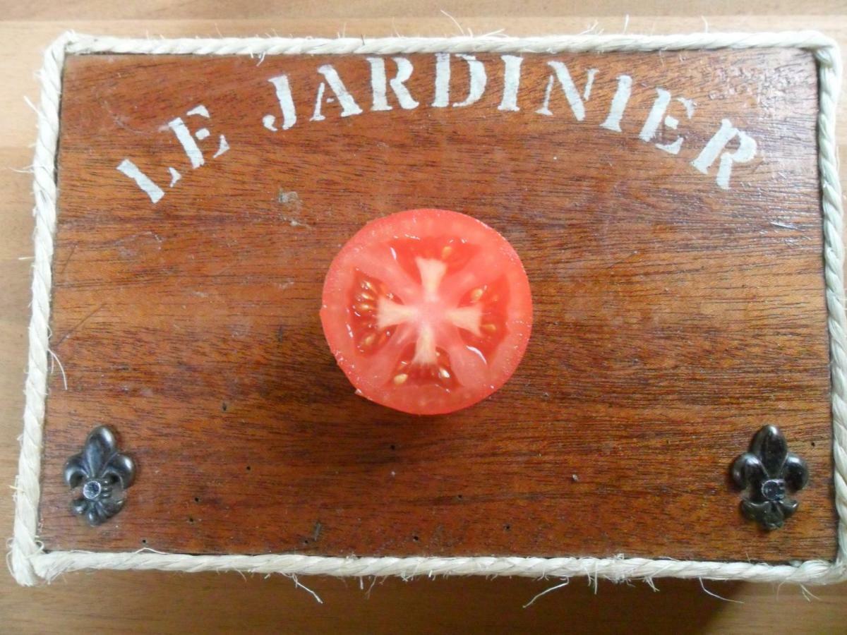 Chambres D'Hotes La Turone Cheillé Kültér fotó